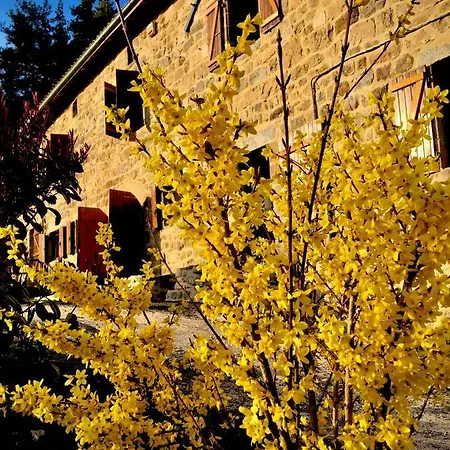 Grange De Sagne Maison Et Table D Hotes Avec Diner Sur Reservation Homestay