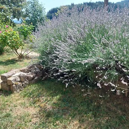 Grange De Sagne Maison Et Table D Hotes Avec Diner Sur Reservation Saint-Jean-Roure